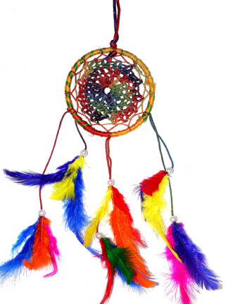 Aceola Dream Catcher Multi color Crochet Wall Decor