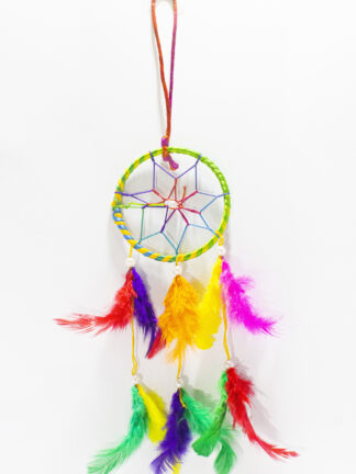 Aceola Dream Catcher Multi color  Wall Decor Car Hanging