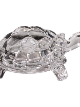 Crystal Turtle
