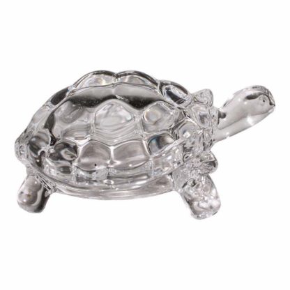 Crystal Turtle