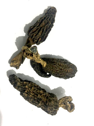 A Grade Organic Dry Morels (Kashmiri Gucchi) or Black Mushroom 250 gms.