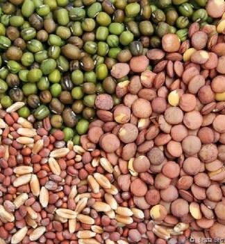 Seeds