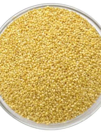 Foxtail Unpolished Organic Millet Grains | 500 Gms Pack |